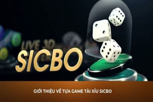 sicbo tai phu 789bet 6810e7eae2688